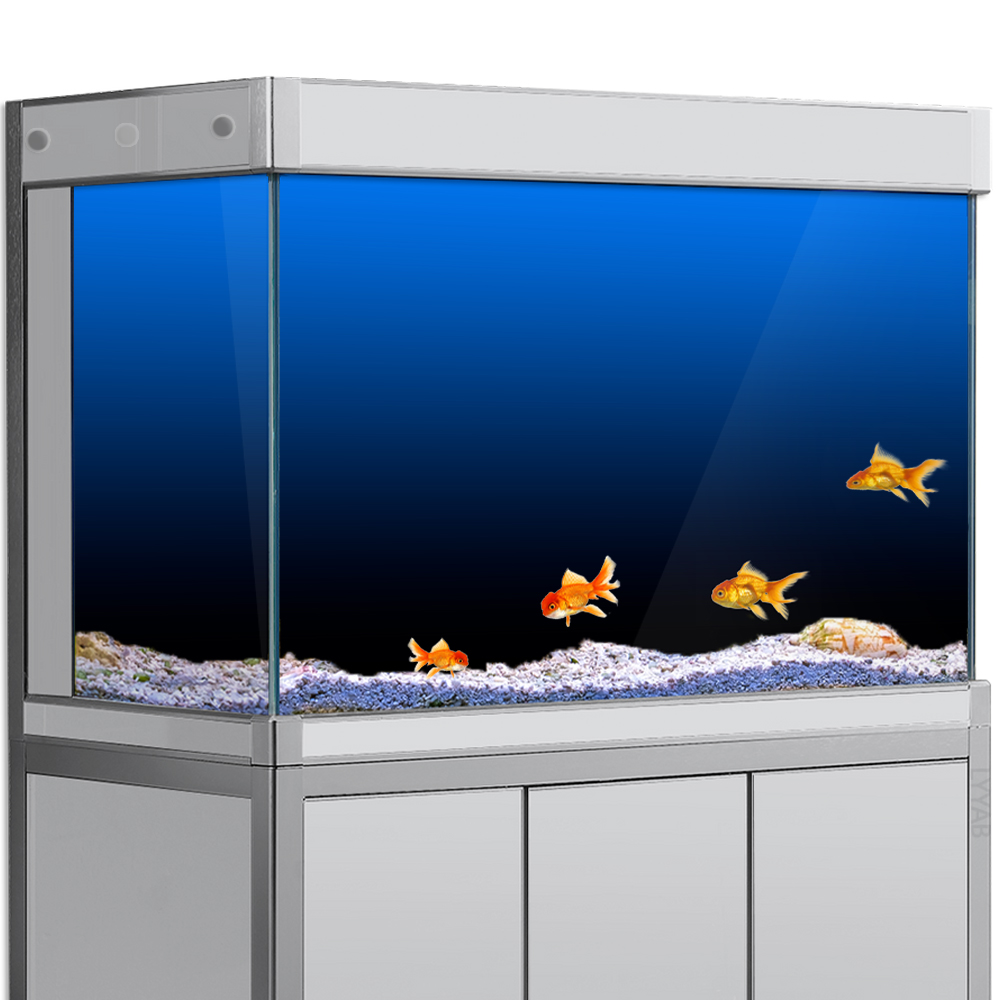 Aquarium Fish Black - Fish Tank Background Sticker Black Green