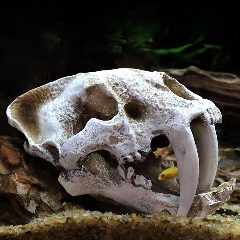 Aquarium Fish Diseases - Dinosaur Skull Model Velociraptor Fossil Resin