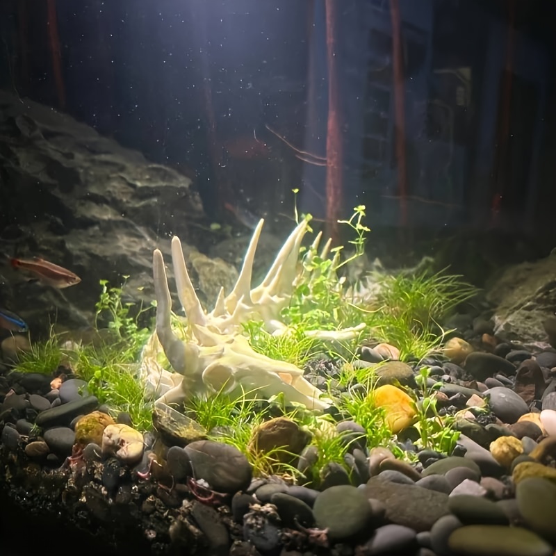 1pc Dragon-Shaped Fishbone Dec - Aquarium Fish Games recension och pris