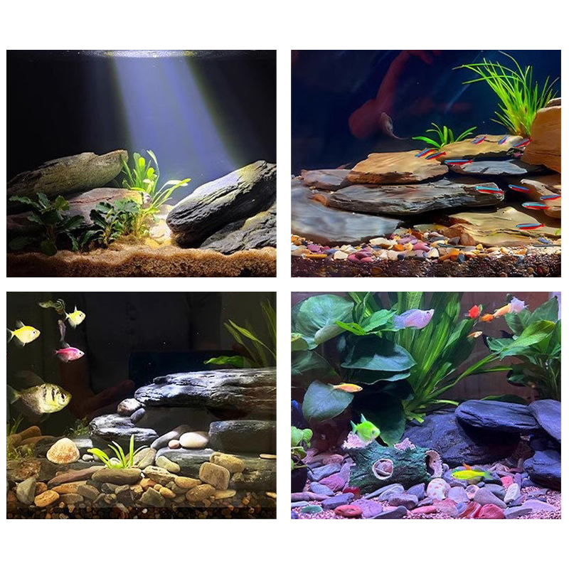 500/1000g Fish Tank Landscape  - Aquarium Fish Types recension och pris