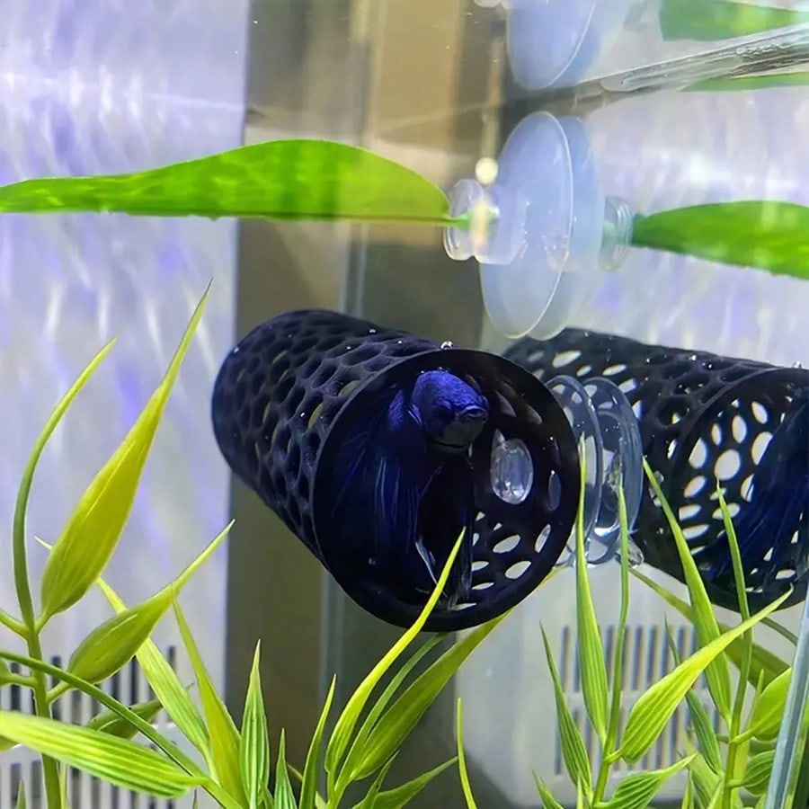 Aquarium Fish Hideout Black Ho - Aquarium Fish Games recension och pris