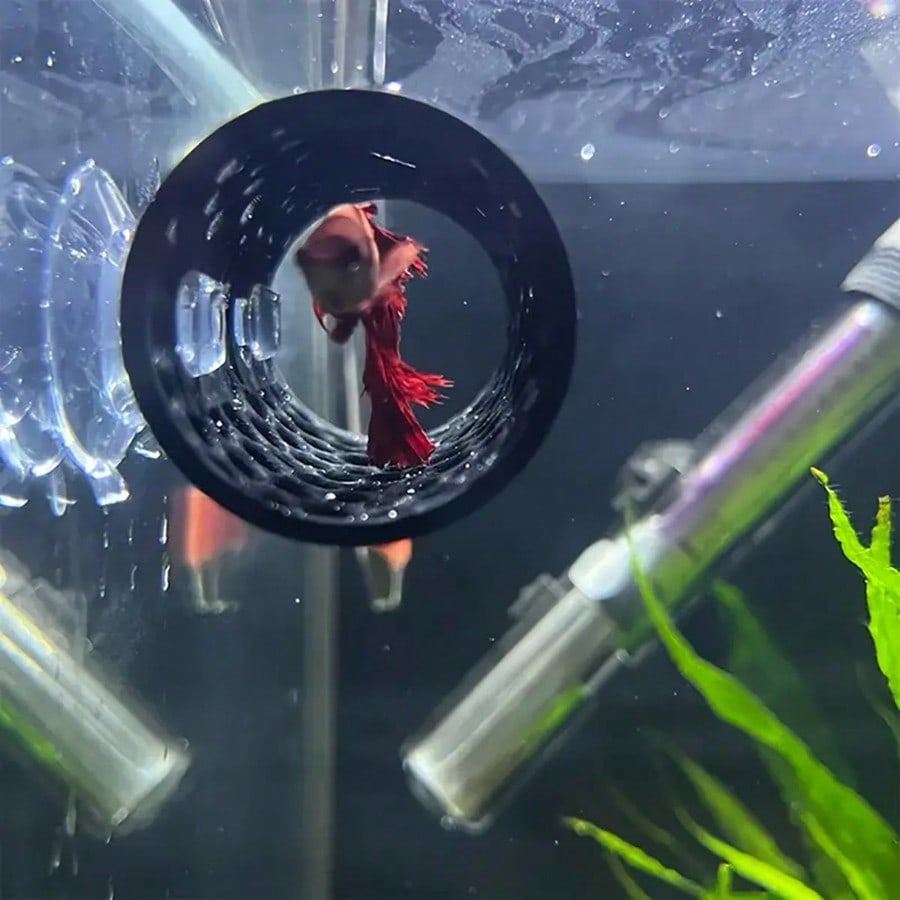 Aquarium Fish Hideout Black Ho - Aquarium Fish Games recension och pris