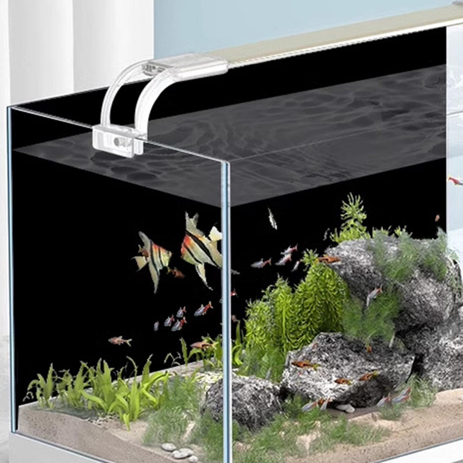Black Aquarium Background Stat - Aquarium Fish Black recension och pris
