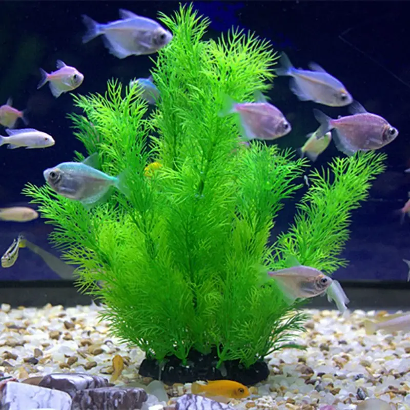 Artificial Aquarium Decor Plan - Aquarium Fish Games recension och pris