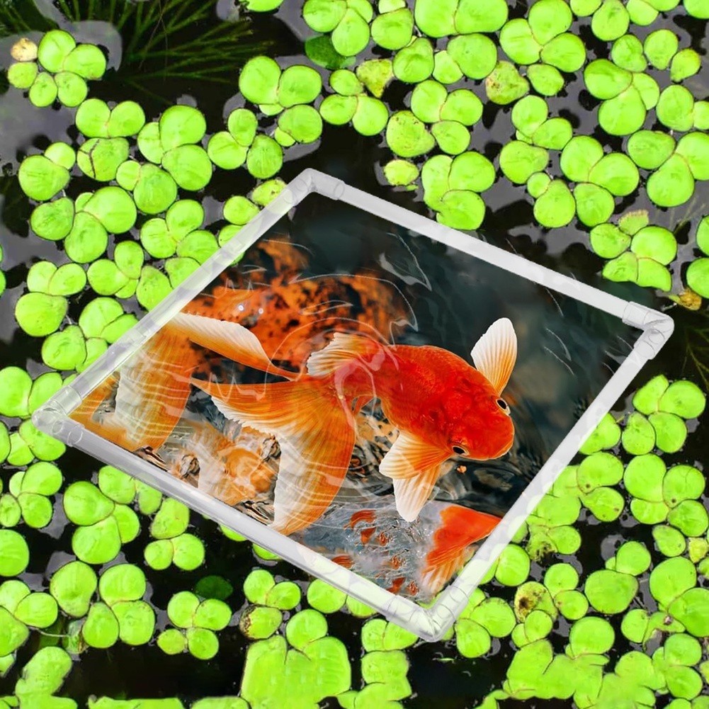 Aquarium Floating Plant Corral - Aquarium Fish Zone recension och pris
