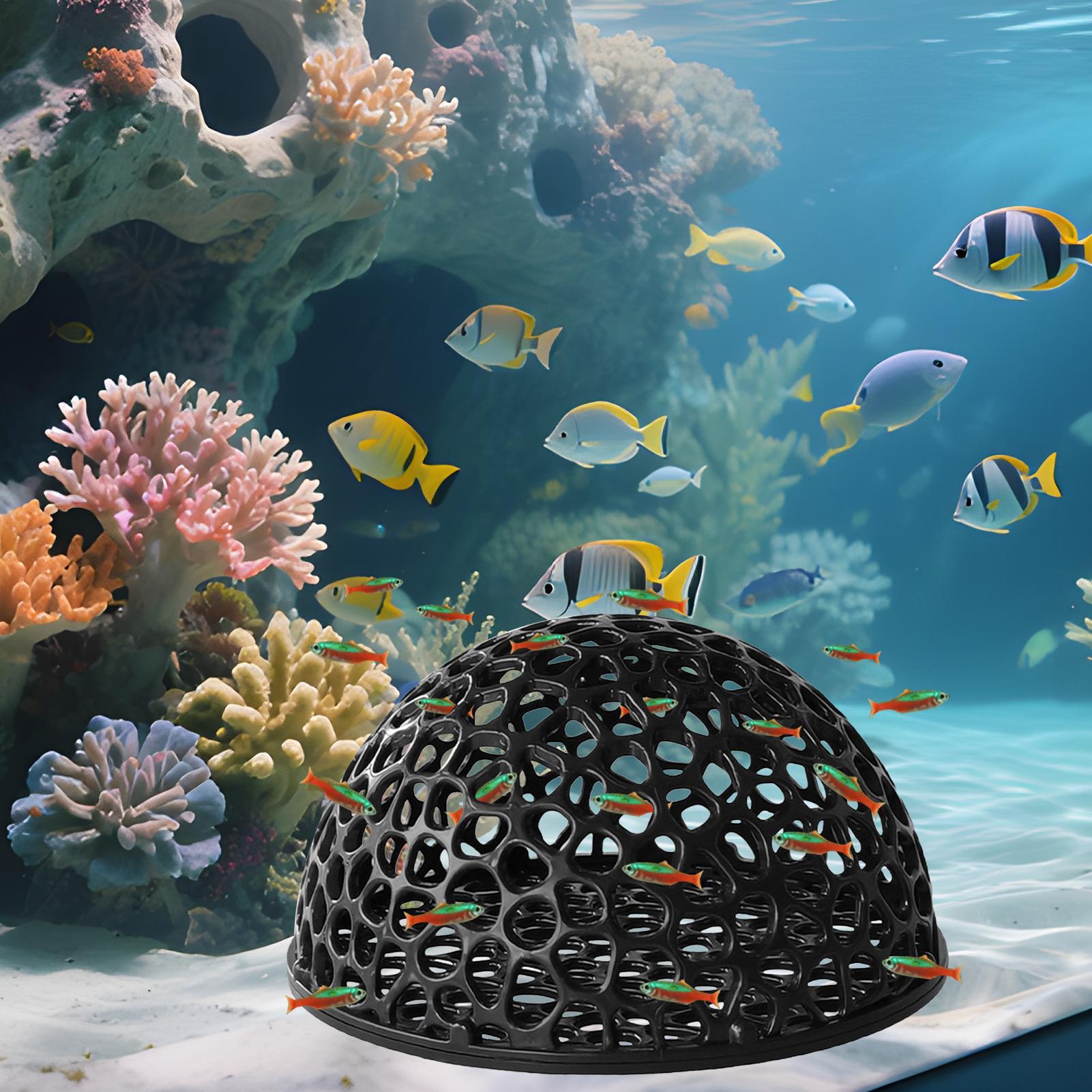 Aquarium Hiden Cave Shelter fo - Aquarium Fish Games recension och pris
