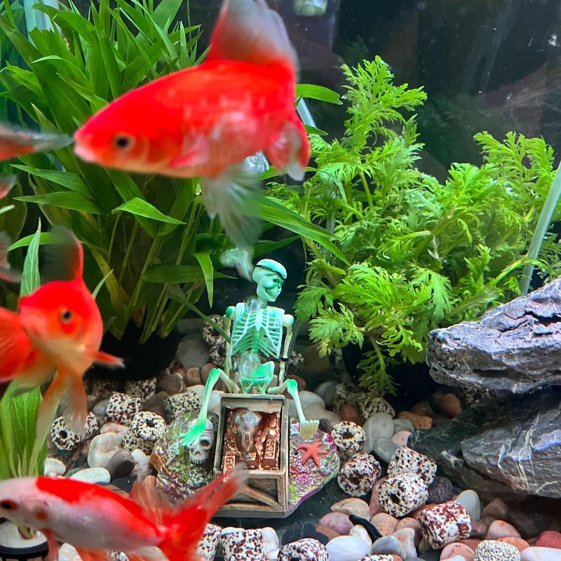 Fish Tank Aerobic Landscape Bu - Aquarium Fish Diseases recension och pris