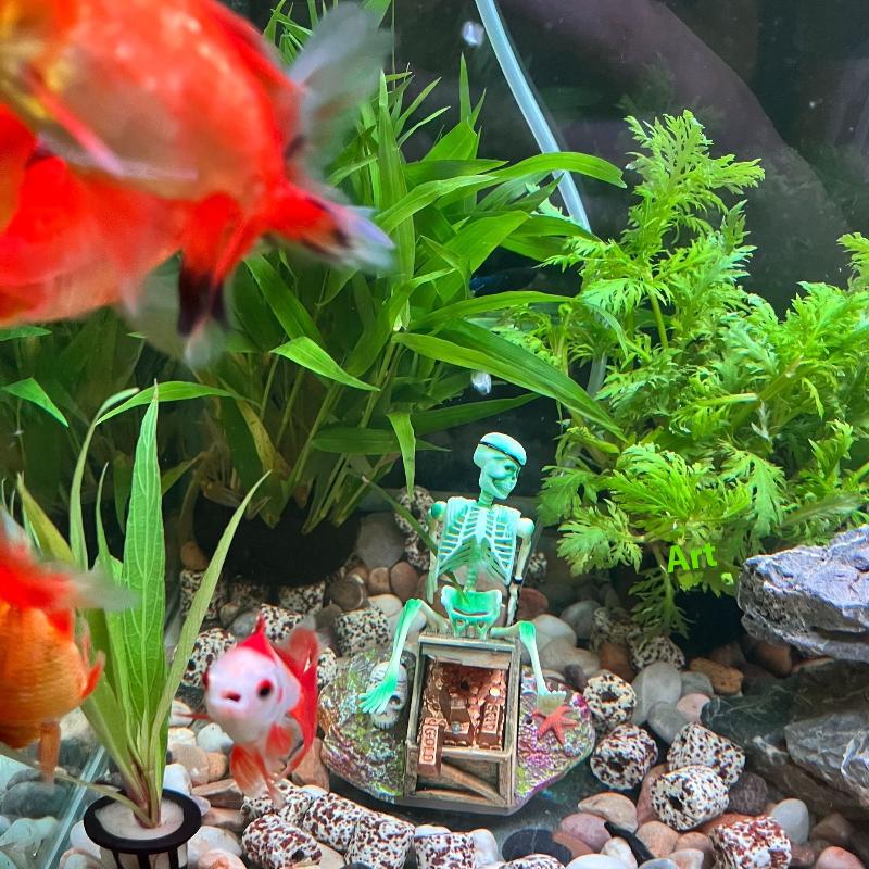 Fish Tank Aerobic Landscape Bu - Aquarium Fish Diseases recension och pris