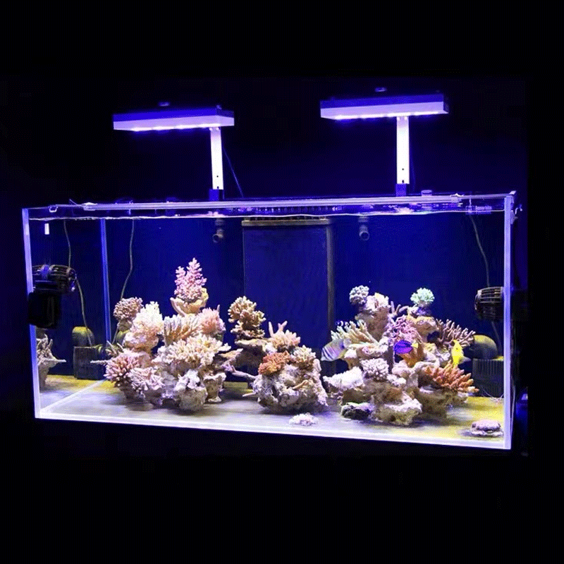 Aqua Illumination AI Hydra 32H - Aquarium Fish Black recension och pris