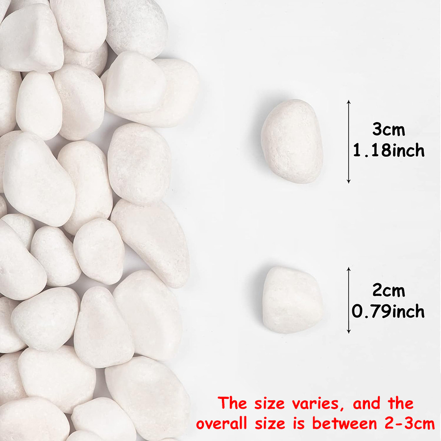200/400g White High Polished N - Aquarium Fish Types recension och pris
