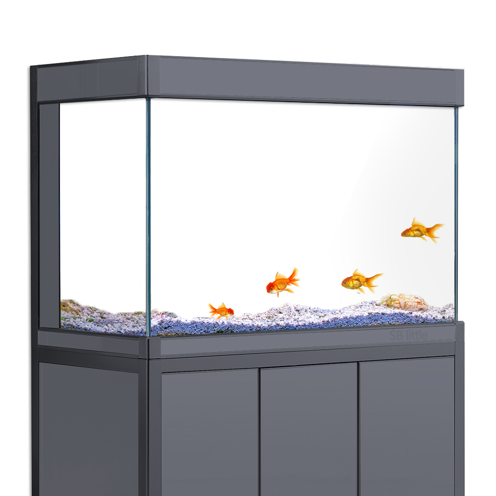 Aquarium Background Static Cli - Aquarium Fish Black recension och pris