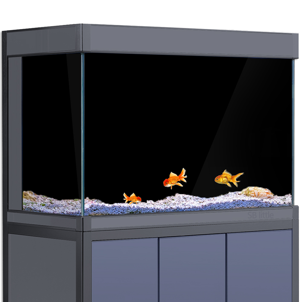 Aquarium Background Static Cli - Aquarium Fish Black recension och pris