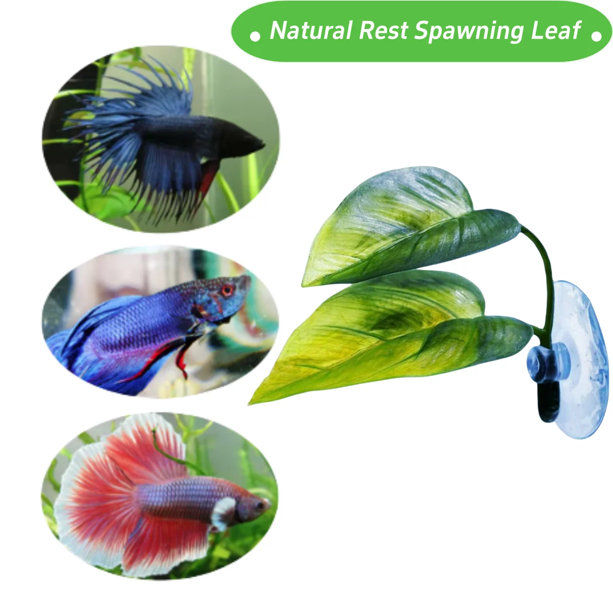 Pets Fish Tank Decor Betta Rel - Aquarium Fish Games recension och pris