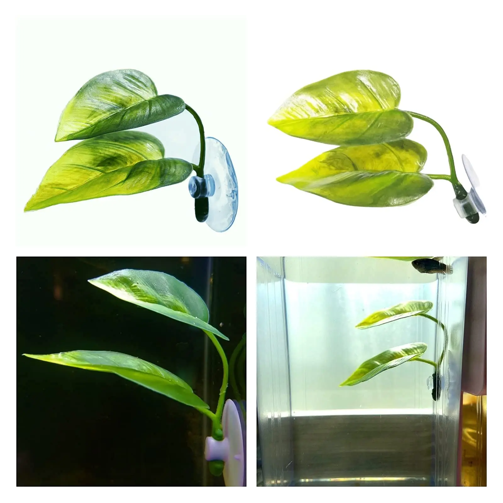 Pets Fish Tank Decor Betta Rel - Aquarium Fish Games recension och pris