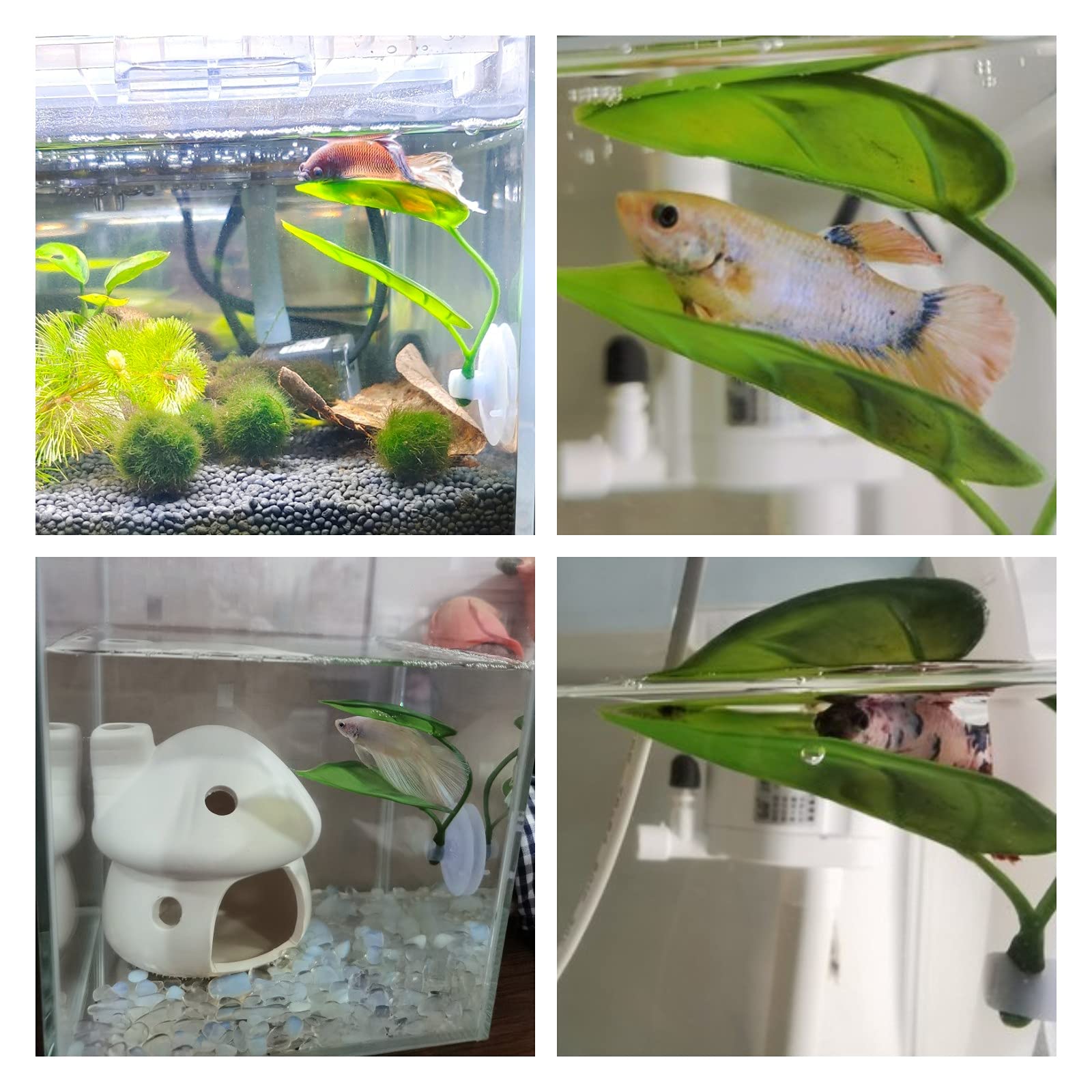 Pets Fish Tank Decor Betta Rel - Aquarium Fish Games recension och pris