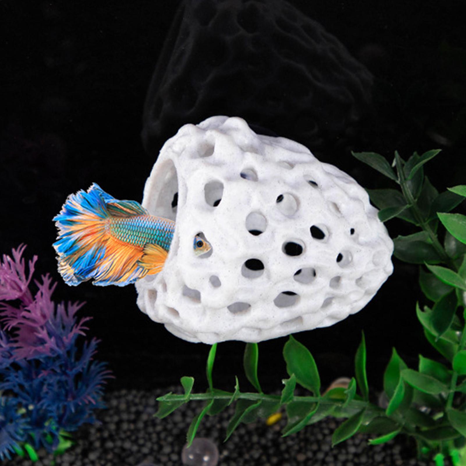 Aquarium shrimp house Cave Min - Aquarium Fish Games recension och pris