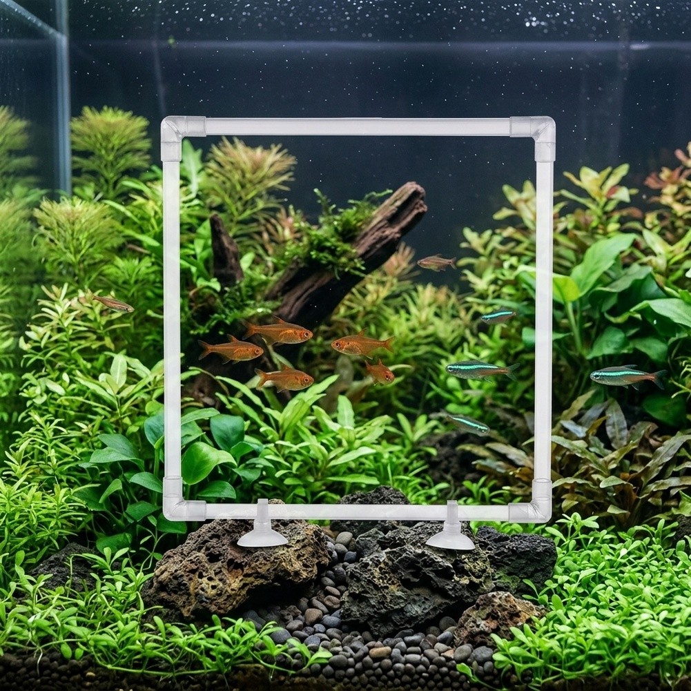 Aquarium Floating Plant Corral - Aquarium Fish Zone recension och pris