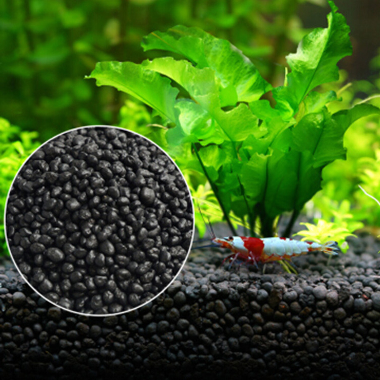 Aquarium Plant Seeds Soil Fish - Aquarium Fish Types recension och pris