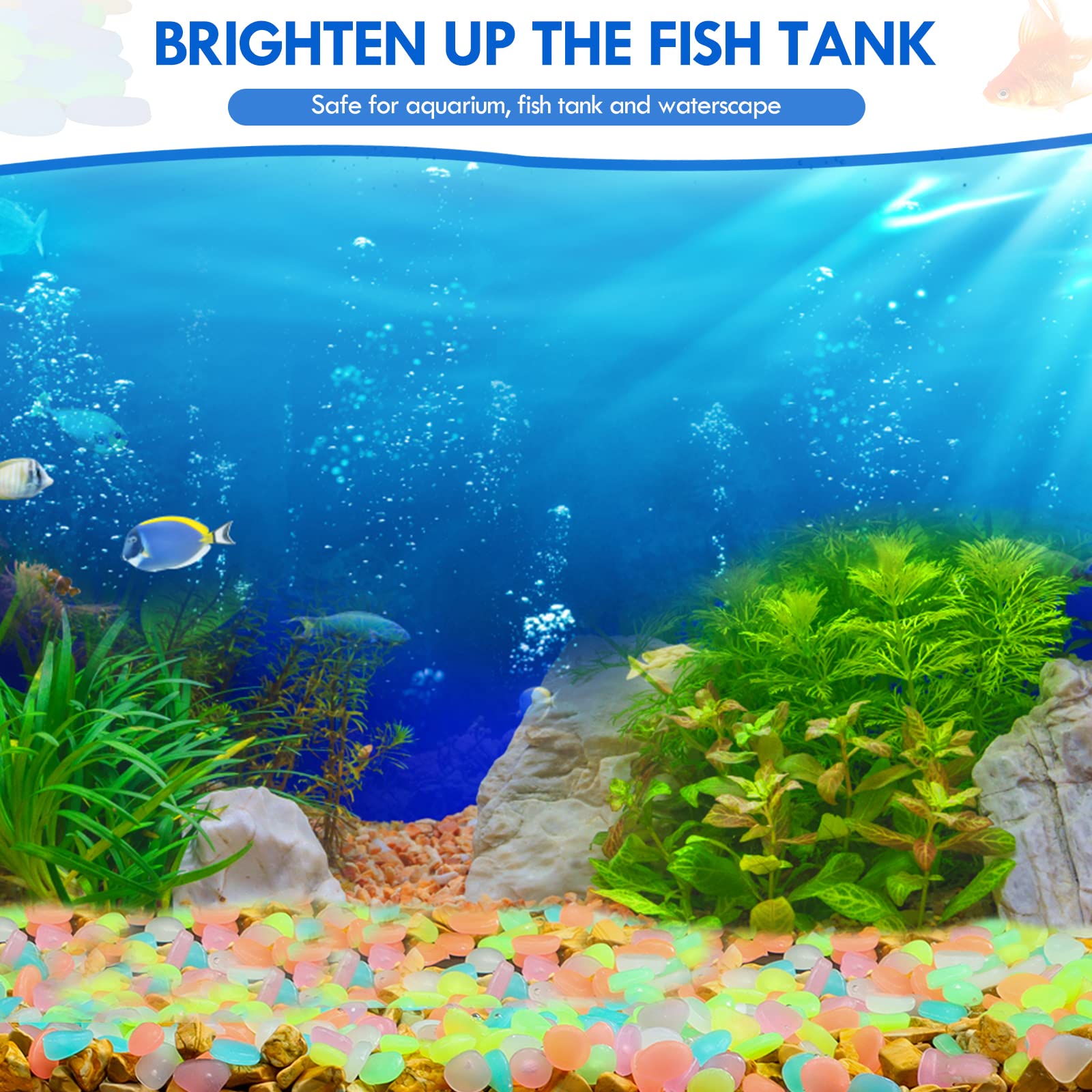 100Pcs Glow in the Dark Garden - Aquarium Fish Types recension och pris