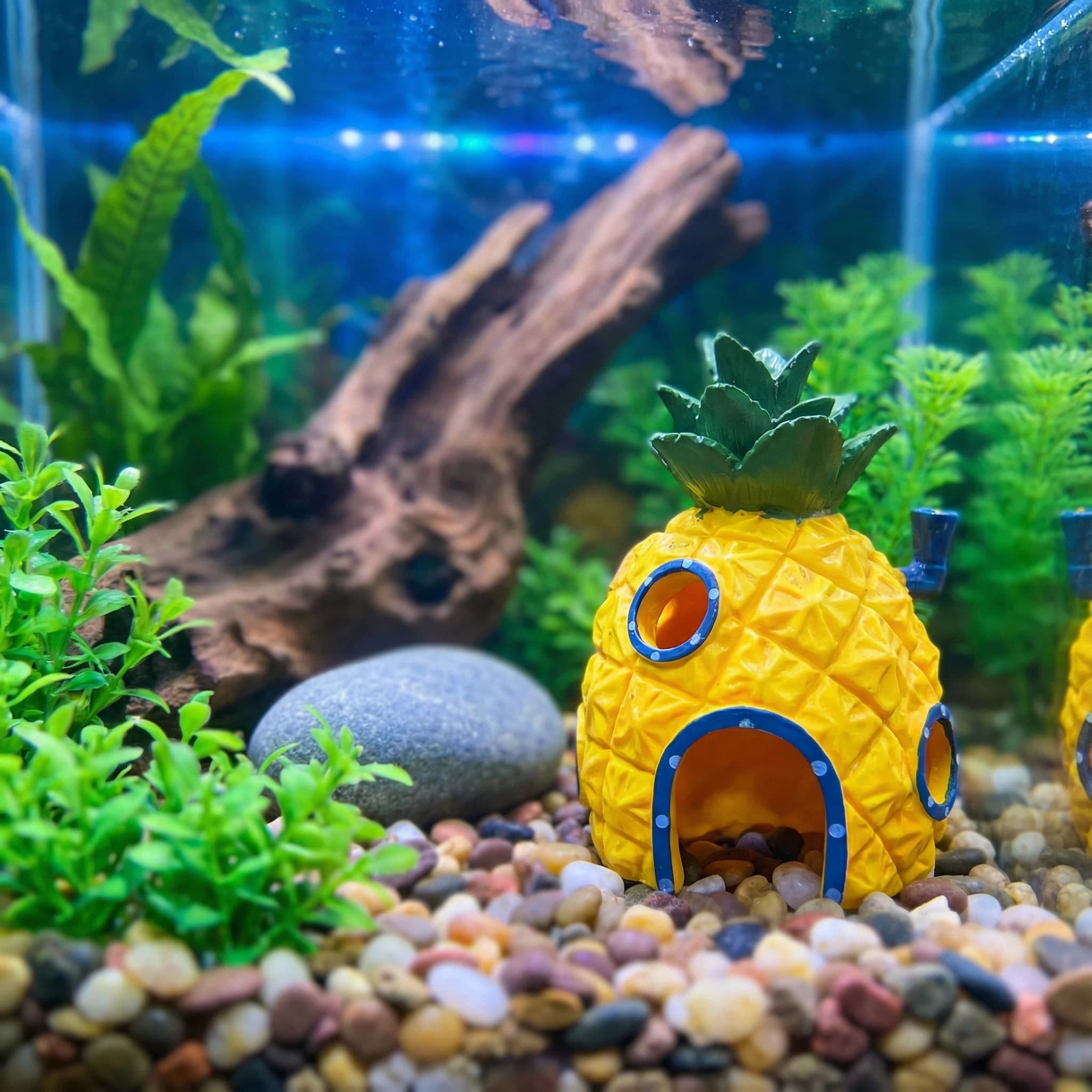Pineapple House Aquarium Decor - Aquarium Fish Games recension och pris