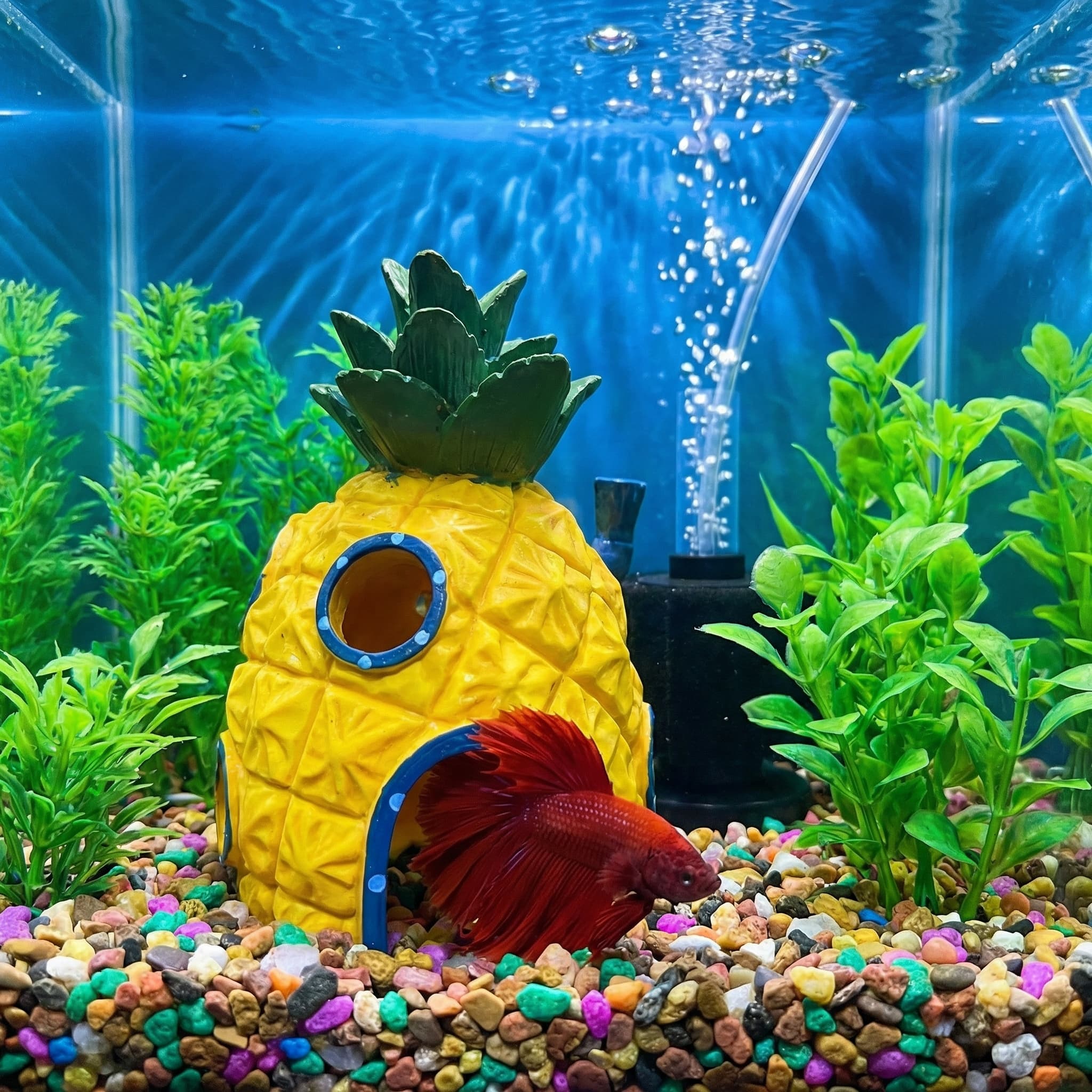 Pineapple House Aquarium Decor - Aquarium Fish Games recension och pris