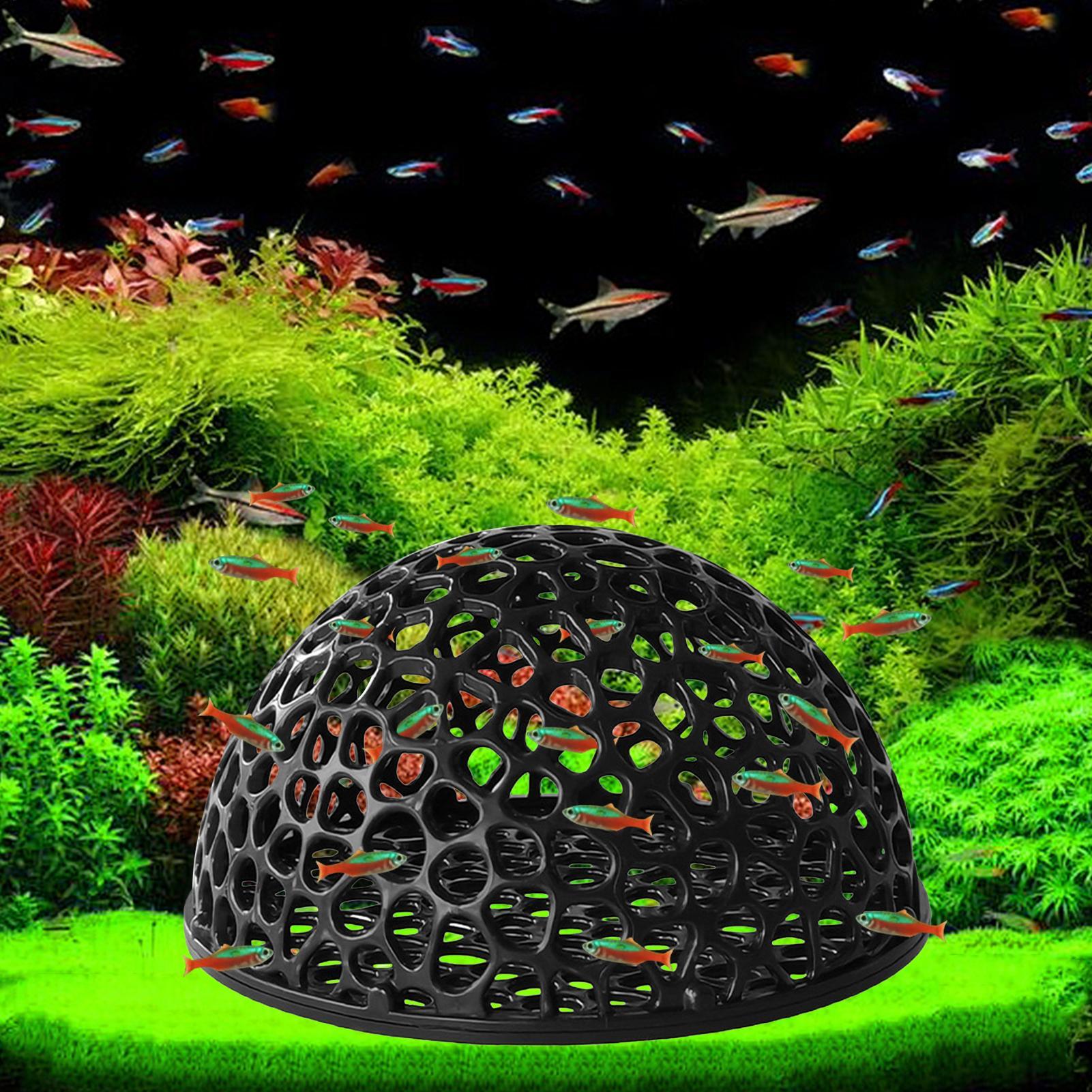 Aquarium shrimp house Cave Min - Aquarium Fish Games recension och pris