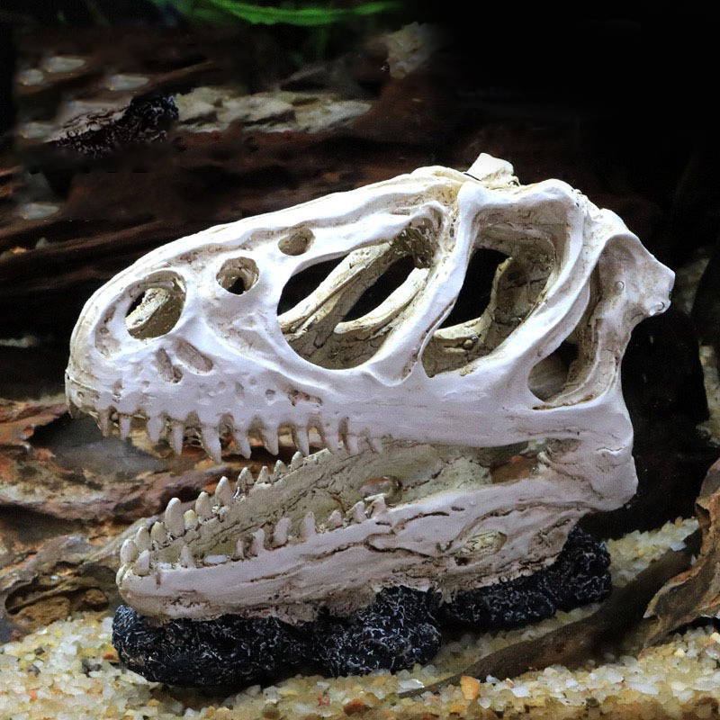 Dinosaur Skull Model Velocirap - Aquarium Fish Diseases recension och pris